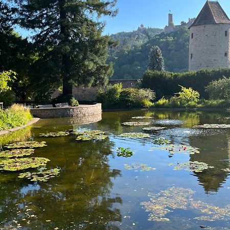 Ferienwohnung Burgenblilck Weinheim Esterno foto
