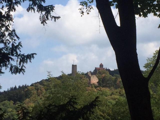 Ferienwohnung Burgenblilck Weinheim Esterno foto