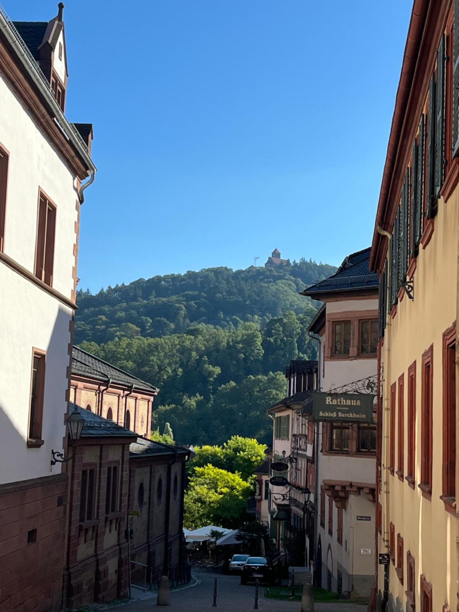 Ferienwohnung Burgenblilck Weinheim Esterno foto