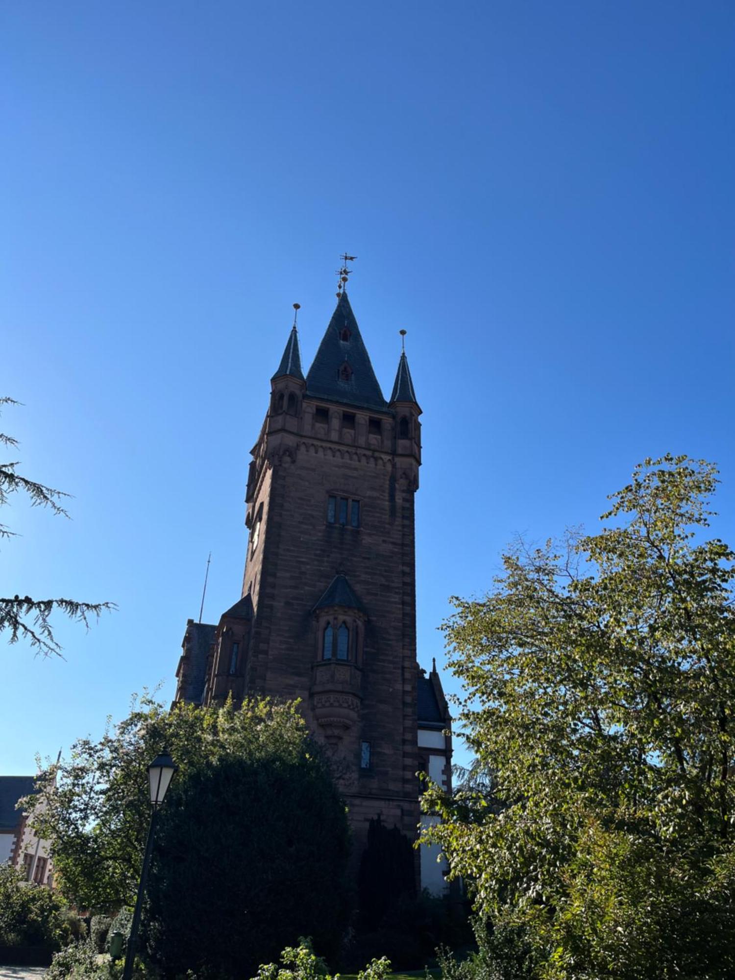 Ferienwohnung Burgenblilck Weinheim Esterno foto