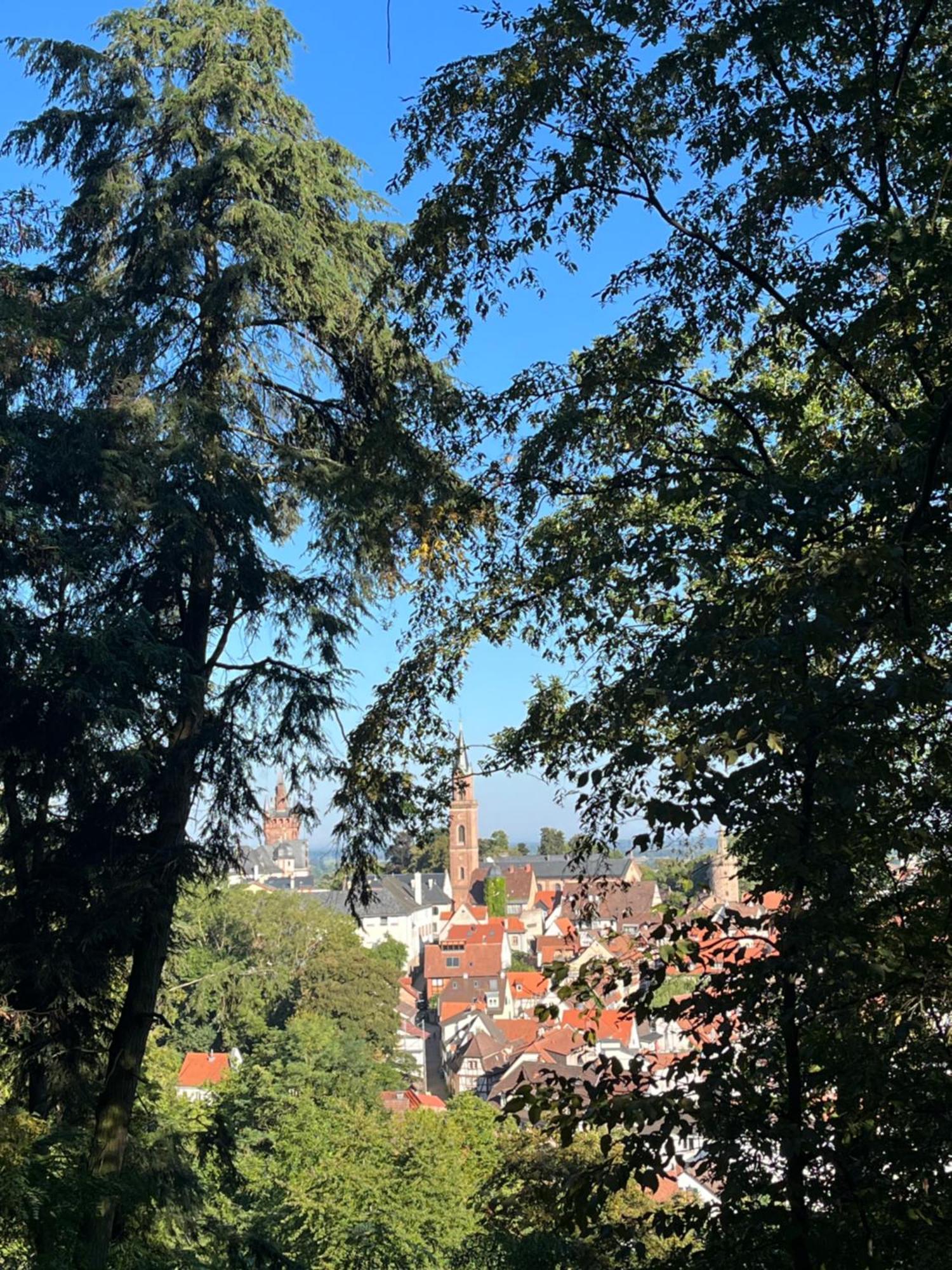 Ferienwohnung Burgenblilck Weinheim Esterno foto